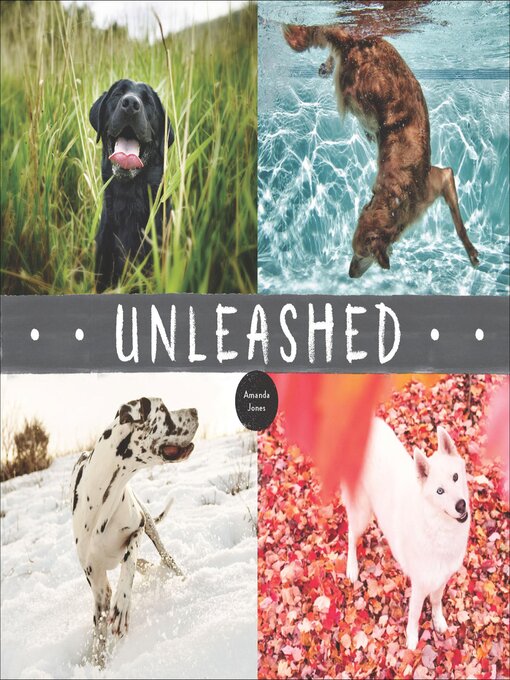 Title details for Unleashed by Amanda Jones - Available